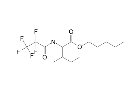 L-Isoleucine, N-pentafluoropropionyl-, pentyl ester