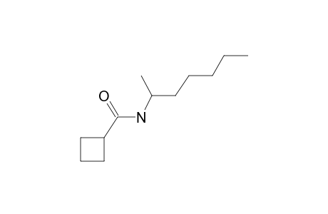 Cyclobutanecarboxamide, N-hept-2-yl-