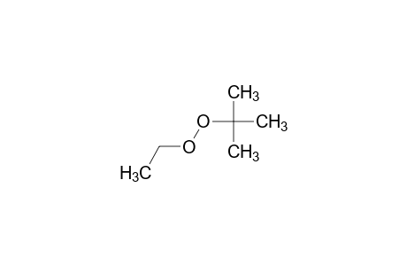 Tert-butyl ethyl peroxide