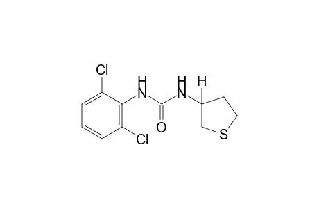 1-(2,6-dichlorophenyl)-3-(tetrahydro-3-thienyl)urea