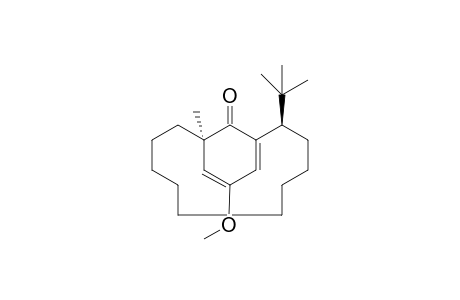(1R,11R)-11-(tert-butyl)-14-methoxy-1-methylbicyclo[10.3.1]hexadeca-12,14-dien-16-one