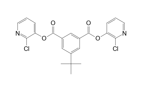 5-tert-butylisophthalic acid, bis(2-chloro-3-pyridyl) ester