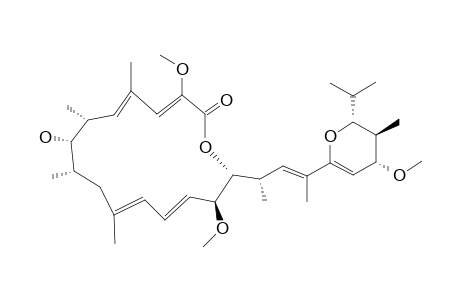 BAFILOMYCIN_I