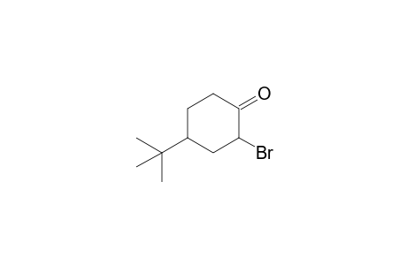 2-Bromo-4-tert-butylcyclohexanone