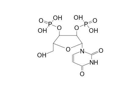 URIDINE, 2,3-DIPHOSPHATE