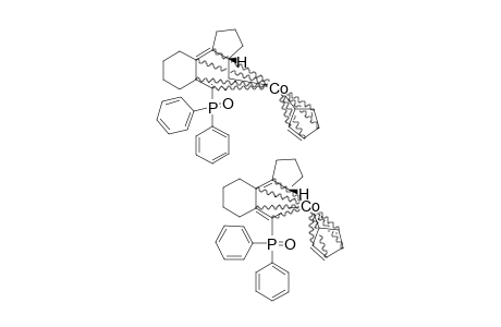 EXO+ENDO-ISOMERS