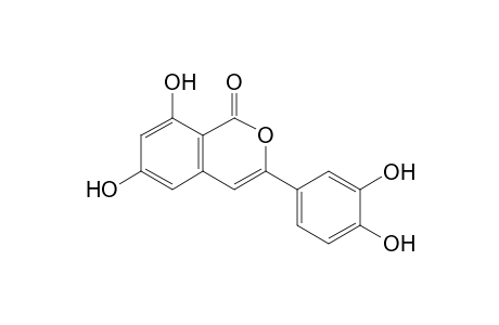 Thunberginol B [3-(3,4-dihydroxyphnyl)-6,8-dihydroxyisocoumarin]
