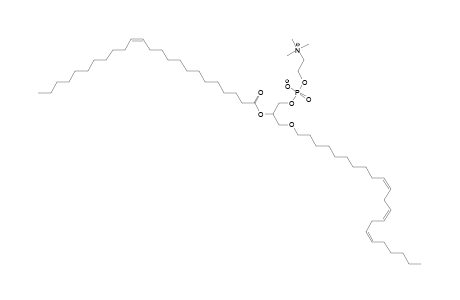 PC O-22:3_24:1