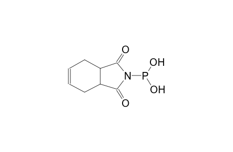 1,2,3,6-TETRAHYDROPHTHALIMIDOPHOSPHITE