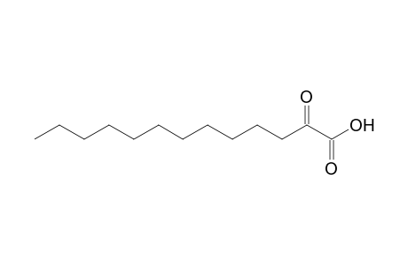 2-Oxotridecanoic acid