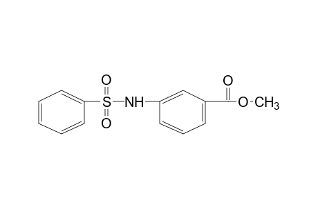 m-(benzenesulfonamido)benzoic acid, methyl ester