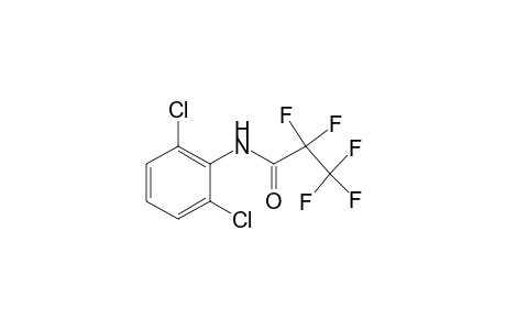 N-(2,6-dichlorophenyl)-2,2,3,3,3-pentafluoro-propanamide