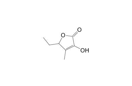 5-ethyl-3-hydroxy-4-methyl-5H-furan-2-one