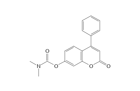 7-hydroxy-4-phenylcoumarin, dimethylcarbamate
