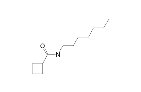 Cyclobutanecarboxamide, N-heptyl-