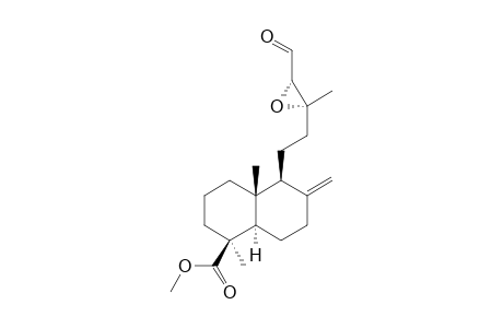 METHYL-13-XI,14-XI-EPOXY-15-OXO-LABDEN-19-OATE;DIASTEREOMER-#2