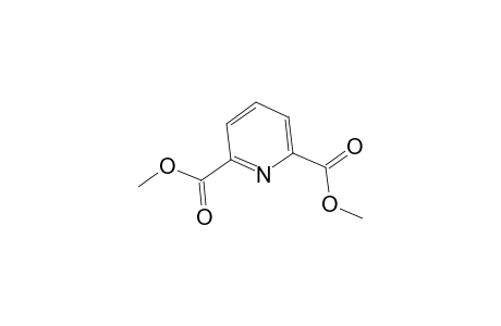 2,6-Pyridinedicarboxylic acid, dimethyl ester