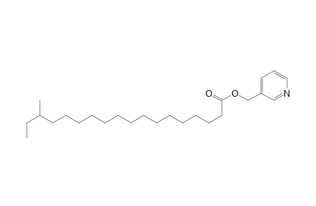 Octadecanoic acid, 16-methyl-, 3-pyridinylmethyl ester