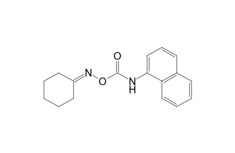 cyclohexanone, O-[(1-naphthyl)carbamoyl]oxime
