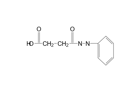 succinic acid, mono(2-phenylhydrazide)
