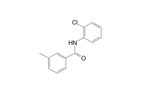 2'-chloro-m-toluanilide