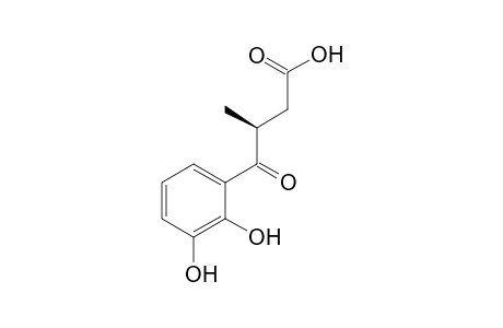 PI-33 [3S-methyl-4-(2',3'-dihydroxyphenyl)-4-oxobutanoic acid ]