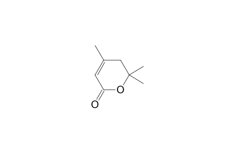 4,6,6-trimethyl-5H-pyran-2-one