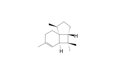 Italicene