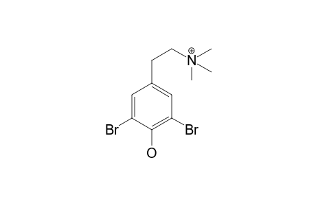 N,N,N-TRIMETHYL-3,5-DIBROMOTYRAMINE