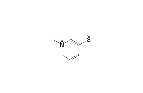 1-methylpyridin-1-ium-3-thiolate