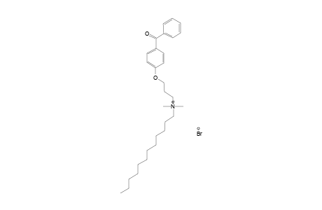 N,N-DIMETHYL-N-(3-(BENZOYL-4-PHENOXY))-N-N-DODECYLAMMONIUM-BROMIDE