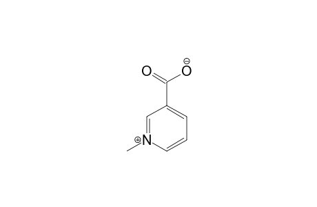 3-carboxy-1-methylpyridinium hydroxide, inner salt