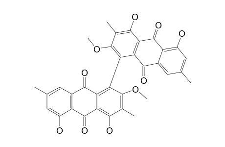 TRACHYPONE