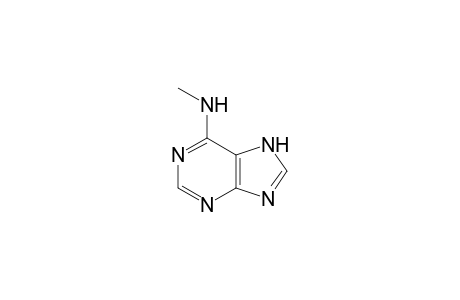 N-methyladenine