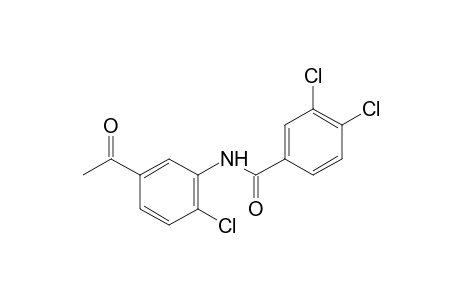 5'-acetyl-2',3,4-trichlorobenzanilide