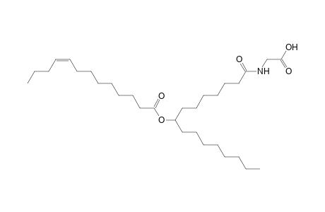 NAGly 13:1/16:0