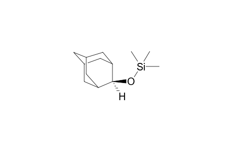 (2-Adamantyloxy)(trimethyl)silane