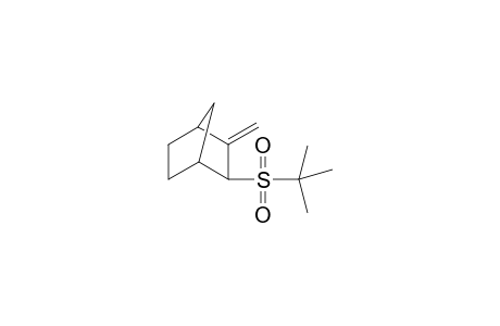 (exo)-3-Methylene-2-[2'-methylpropyl-2'-sulfonyl)bicyclo[2.2.1]heptane