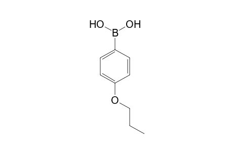 4-n-Propoxybenzeneboronic acid