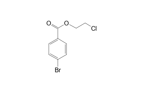 4-Bromobenzoic acid, 2-chloroethyl ester