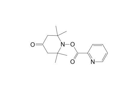 Pyridine-2-carboxylic acid 2,2,6,6-tetramethyl-4-oxo-piperidin-1-yl ester