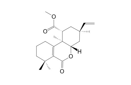 CANDIDALACTONE-METHYLESTER