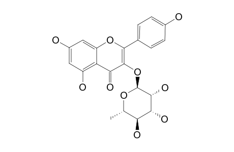 KAEMPFEROL-3-RHAMNOPYRANOSIDE