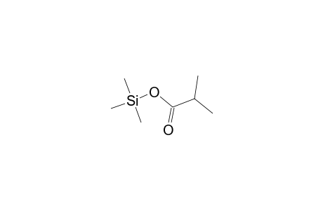 TRIMETHYL-2-METHYLPROPIONYLOXY-SILANE