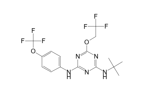 2-N-tert-butyl-6-(2,2,2-trifluoroethoxy)-4-N-[4-(trifluoromethoxy)phenyl]-1,3,5-triazine-2,4-diamine