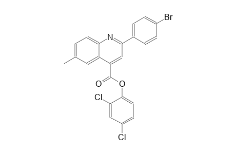 2,4-dichlorophenyl 2-(4-bromophenyl)-6-methyl-4-quinolinecarboxylate