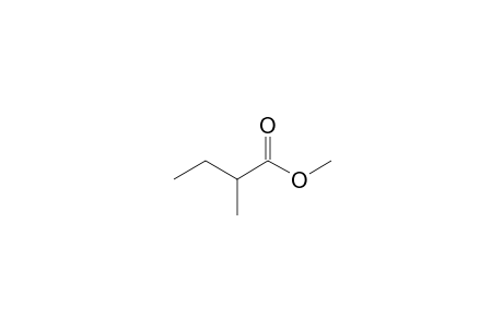 2-Methyl-butyric acid, methyl ester