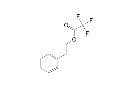 trifluoroacetic acid, phenethyl ester