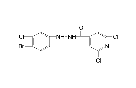 2,6-dichloroisonicotinic acid, 2-(4-bromo-3-chlorophenyl)hydrazide