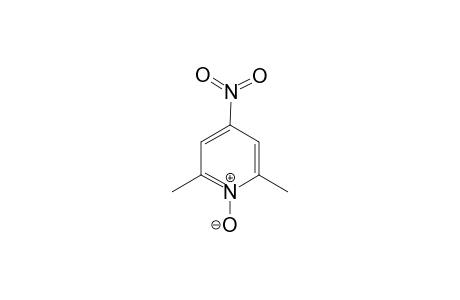 4-Nitro-2,6-lutidine-1-oxide